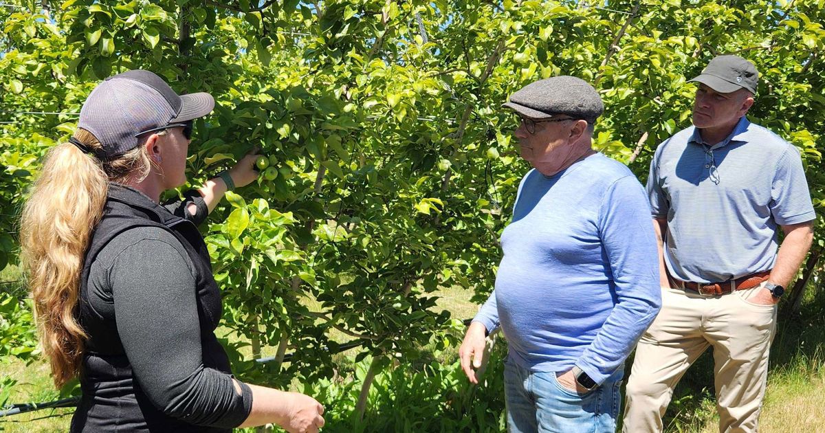 World’s bee experts gather in Eastern Washington