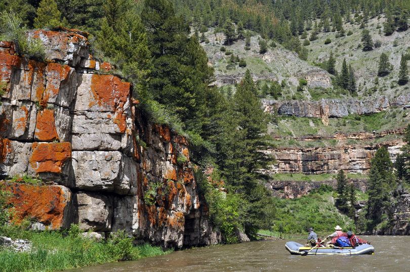 Fly fishers cast for brown trout along the stained rock-garden limestone cliffs that border central Montana's Smith River where special permits are required to float a 59-mile scenic stretch. (Rich Landers)
