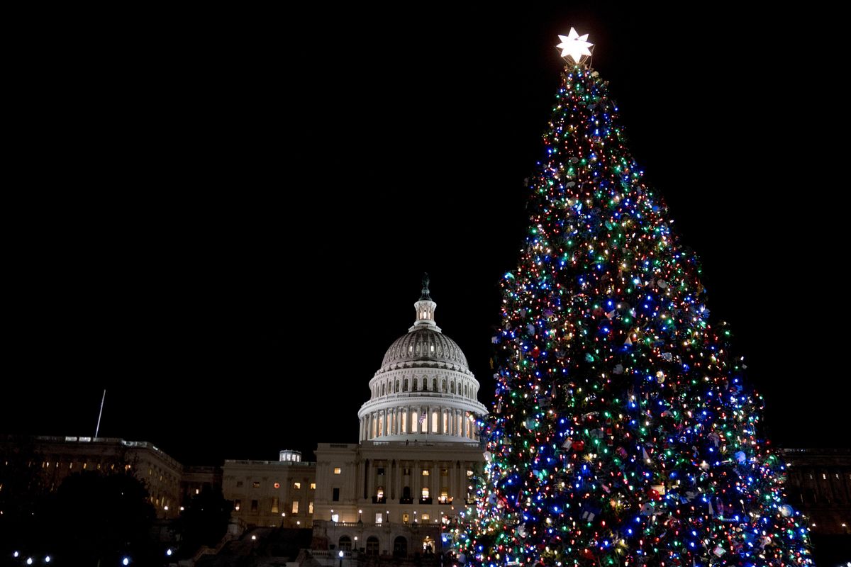 The Capitol Christmas Tree, which came from a northwestern Montana forest, is lit Dec. 6, 2017 on the West Lawn of the U.S. Capitol in Washington. Some Montana companies hope to keep the fame of the spruce tree that served as the U.S. Capitol Christmas Tree alive by trucking the tree back home to Montana. Organizers hope it can be used to help rebuild a century-old chalet in Glacier National Park that was destroyed in a wildfire last summer. (Andrew Harnik / Associated Press)