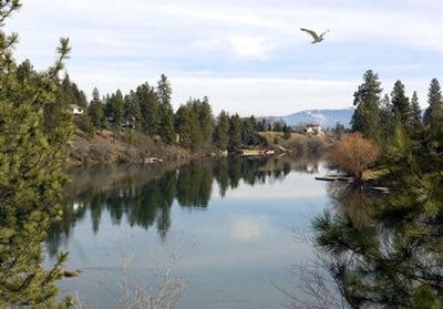 
A bill in the state House seeks to improve Spokane River water quality by cutting the phosphorous in dishwasher detergent.
 (Kathryn Stevens / The Spokesman-Review)