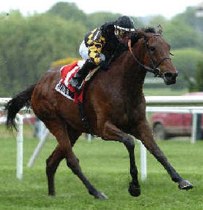 
Jockey Javier Castellano, shown aboard Sauvage, has gone from Bellamy Road to Watchmon.
 (Associated Press / The Spokesman-Review)