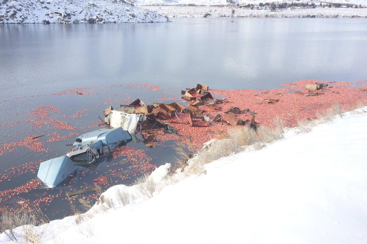 Apples are floating down the Columbia River after a semi crashed near Wenatchee on Thursday, Feb. 9, 2017. (WSP Trooper Brian Moore)