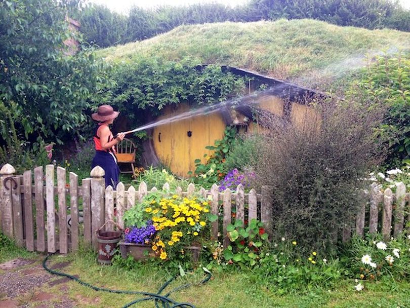 A Hobbiton worker refreshes one of the attraction's scenic Hobbit holes. (Dan Webster)