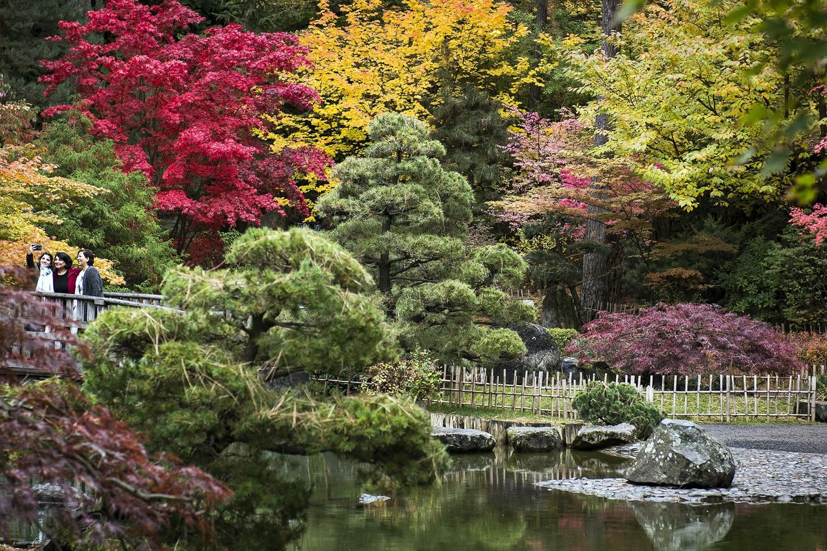 Visitors to the The Nishinomiya Tsutakawa Japanese Garden in Manito Park take a selfie amongst the fall colors, Tuesday, Oct. 18, 2016, in Spokane, Wash.  COLIN MULVANY colinm@spokesman.com (Colin Mulvany / The Spokesman-Review)
