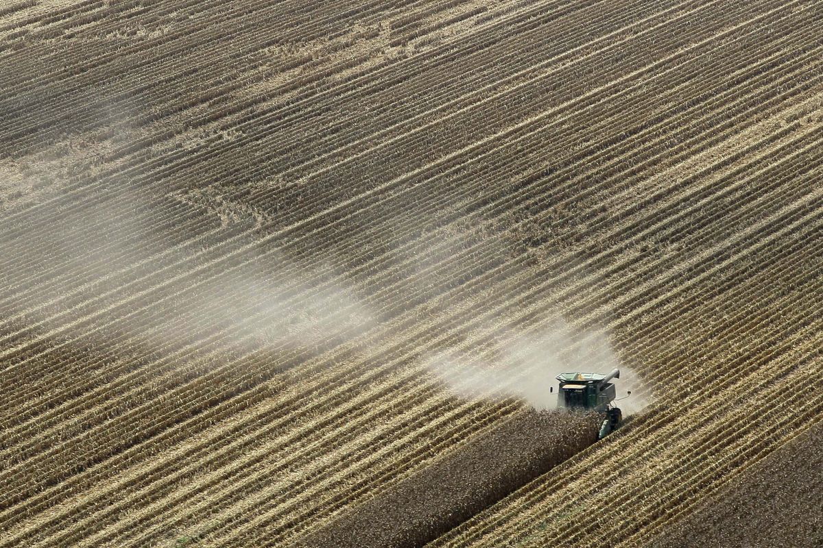 FILE - In this Aug. 16, 2012 file photo, dust is blown from behind a combine harvesting corn in a field near Coy, Ark. The remnants of Tropical Storm Isaac could ease but not eliminate drought conditions in Arkansas, Missouri and Illinois by dropping 2 to 5 inches of rain. (Danny Johnston / Associated Press)