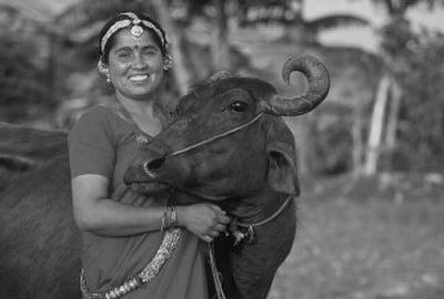 
In this undated handout photo released by Heifer International, a woman poses for a photograph with a water buffalo in Nepal. 
 (Associated Press photos / The Spokesman-Review)