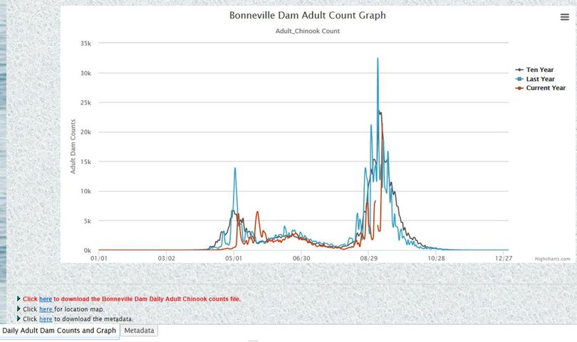 Fall chinook counts at Bonneville Dam as of Sept. 10, 2017. (Fish Passage Center)