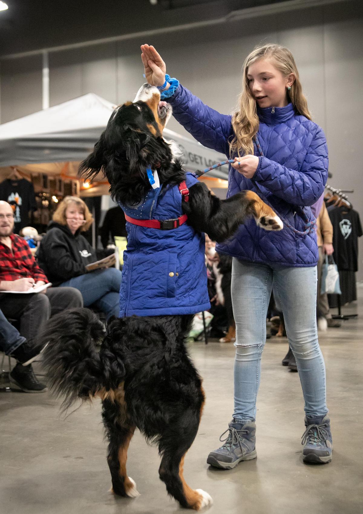 Dog outdoor fashion show (Feb. 23) Feb. 23, 2020 The SpokesmanReview