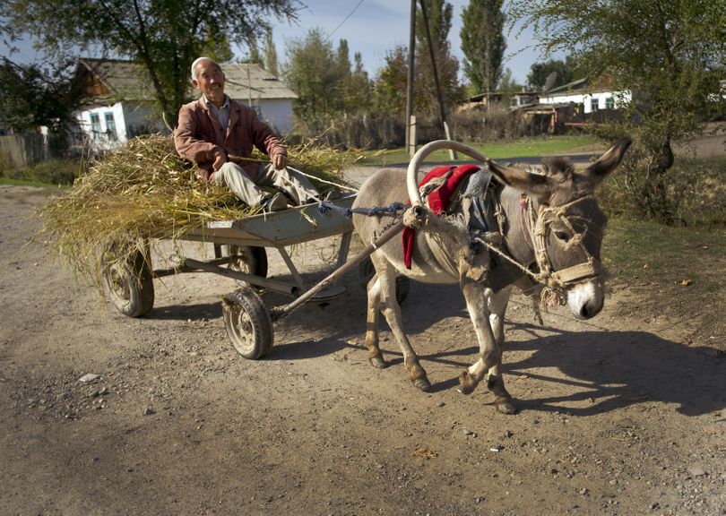 The donkey cart is a common sight in the small villiages near the Manas Transit Center in Kyrgyzstan. I spotted this one passing a pre-school Fairchild airmen were visiting Monday. (Colin Mulvany / The Spokesman-Review)