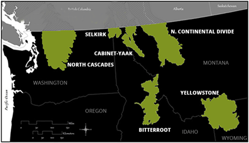 Grizzly bear recovery zones. (igbconline.org)