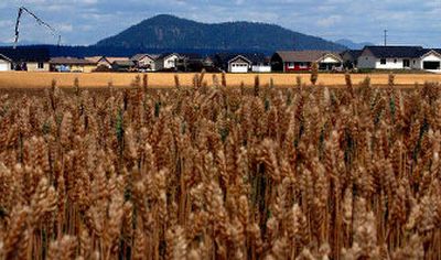 
A mix of subdivisions and farmland makes up much of the scenery in Rathdrum, where some 1,900 new residents have moved in since 2000. 
 (Kathy Plonka / The Spokesman-Review)