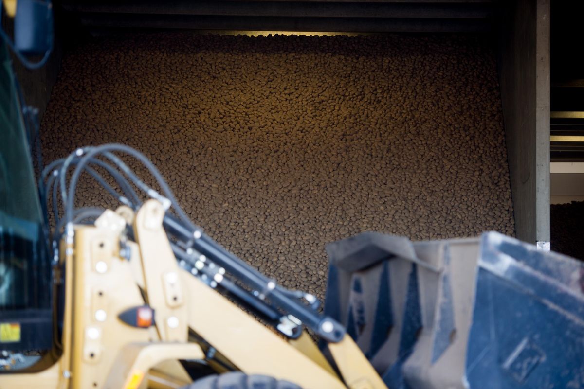 Potatoes waiting to be cut into seed potatoes are seen on Thursday, Feb. 25, Thursday, April 13, 2017, at the Warden Hutterite Colony near Warden, Wash. (Tyler Tjomsland / The Spokesman-Review)