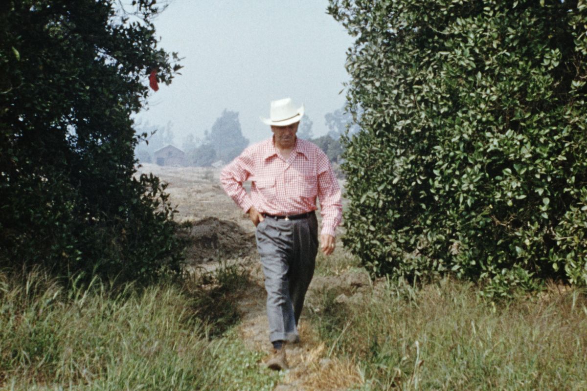 Walt Disney surveying the Anaheim land that would become Disneyland, as seen in Leslie Iwerks’ film “Disneyland Handcrafted.” (Disney+/TNS)