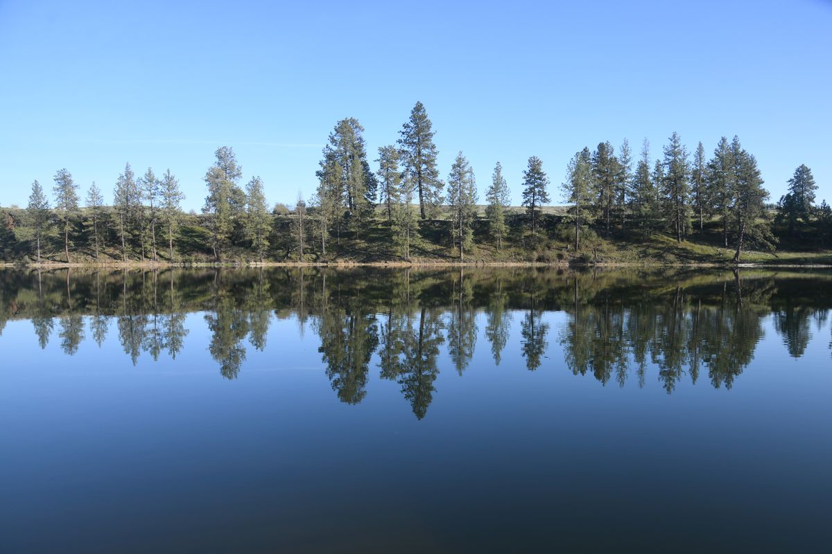 Amber Lake, south of Cheney, is known for its large rainbow trout.  (Michael Wright/The Spokesman-Review)