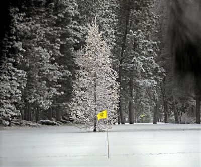 Greens freeze: Bright yellow pin flags mark the greens that were covered with fresh snow at the Manito Golf and Country Club on Friday. (Christopher Anderson)