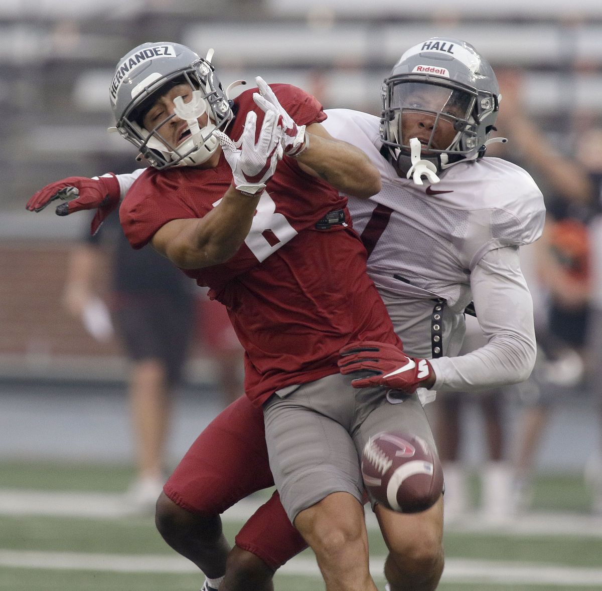 wsu Cougar footballers conduct final camp scrimmage - CougCenter