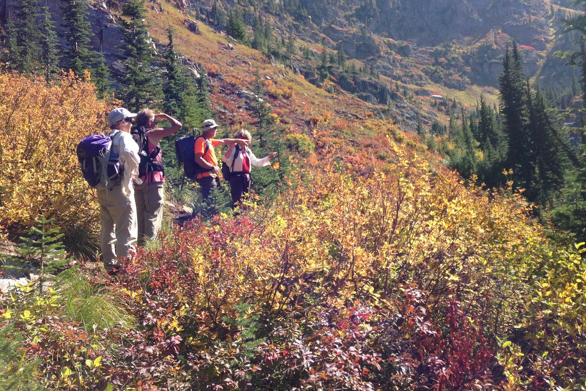 Spokane Mountaineers visit the Lone Lake Trail south of Mullan, Idaho, each year for trail maintenance. (Lynn Smith)