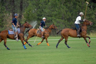 Players look for the ball during a practice session in July  at the Spokane Polo Fields near Airway Heights.  (Jesse Tinsley / The Spokesman-Review)