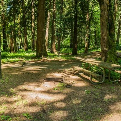 A campground at Paradise State Park in Clark County. (Courtesy of Washington State Parks)