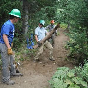 Volunteers organized by Washington Trails Association work on Trail 130 at Mount Spokane State Park. (Holly Weiler)