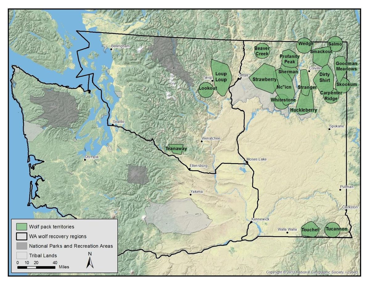 Wolf activity, including livestock attack, updated by Washington ...