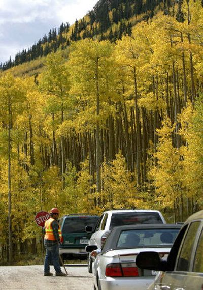 
A flagman holds traffic for road construction in the midst of the changing Aspen trees on Guanella Pass near Georgetown, Colo., last week.
 (Associated Press / The Spokesman-Review)