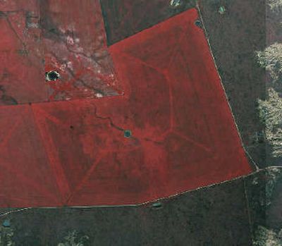 
In this photo released by the U.S. Department of Agriculture, a satellite view shows a higher seed rate in the perimeter of a field and a lower one in the middle.  
 (Associated Press / The Spokesman-Review)