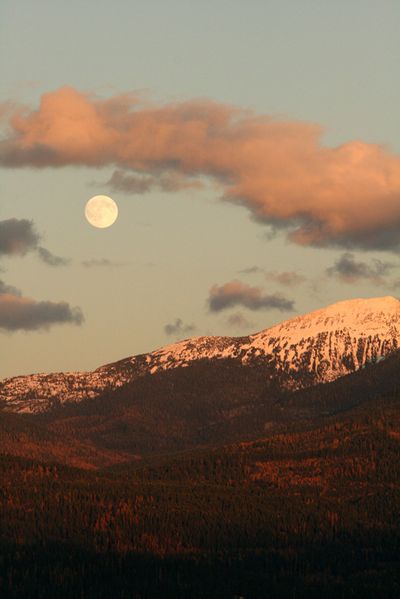  (The Spokesman-Review)