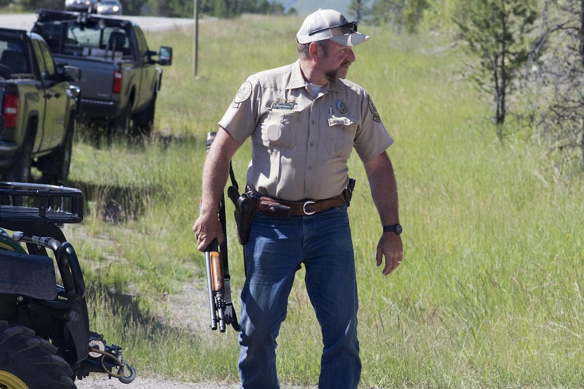 Montana Fish, Wildlife and Parks game warden Perry Brown prepares to hunt for a grizzly bear that killed Forest Service law enforcement officer Brad Treat near West Glacier, Mont., on Wednesday, June 29, 2016. Treat was off duty-riding his bicycle on a popular trail network near the town when the attack occurred. (Chris Peterson/The Daily Inter Lake / Associated Press)