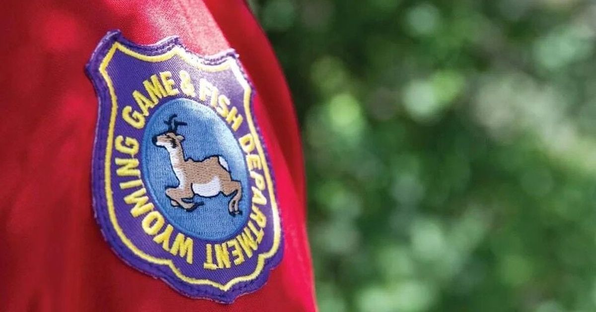 Weird tales from Wyoming's wardens featured in latest report