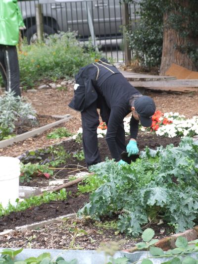Brian Estes manages the Vinegar Flat Farm as part of a holistic way to build community access to health food and organic gardening. (Paul K. Haeder / Down to Earth NW Correspondent)