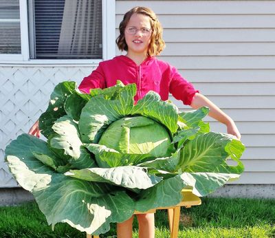 Alyssa Byers, a third-grader student at Trent Elementary School, won a $1,000 scholarship for her 36-pound cabbage. (Photo courtesy Green Earth Media Group)