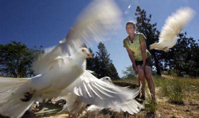 
Toni Bell releases her white racing pigeons off High Drive on Tuesday. Bell and her husband, Ron, train the birds. Below, the Bells' birds take off from High Drive during a recent practice flight to their home near Spangle.
 (Photos by Jed Conklin/ / The Spokesman-Review)
