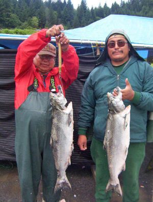 Columbia River tribal gillnet fishermen are selling their spring chinook salmon. (courtesy)