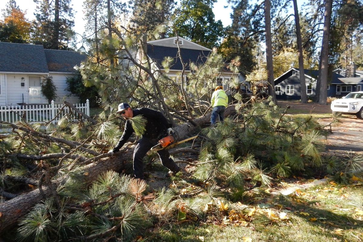 Neighbors and Avista crews help cut up a fallen tree near the corner of 22nd Avenue and Browne Street on Saturday on Spokane’s South Hill.  (Jesse Tinsley/THE SPOKESMAN-REVIEW)