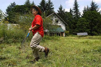 
Karen Morton rakes up grasses she's hacked with a machete last month at her property in Wren, Ore. Many areas must be hand cut before a mower can be brought in to make the job of restoring native prairie easier.
 (Associated Press / The Spokesman-Review)