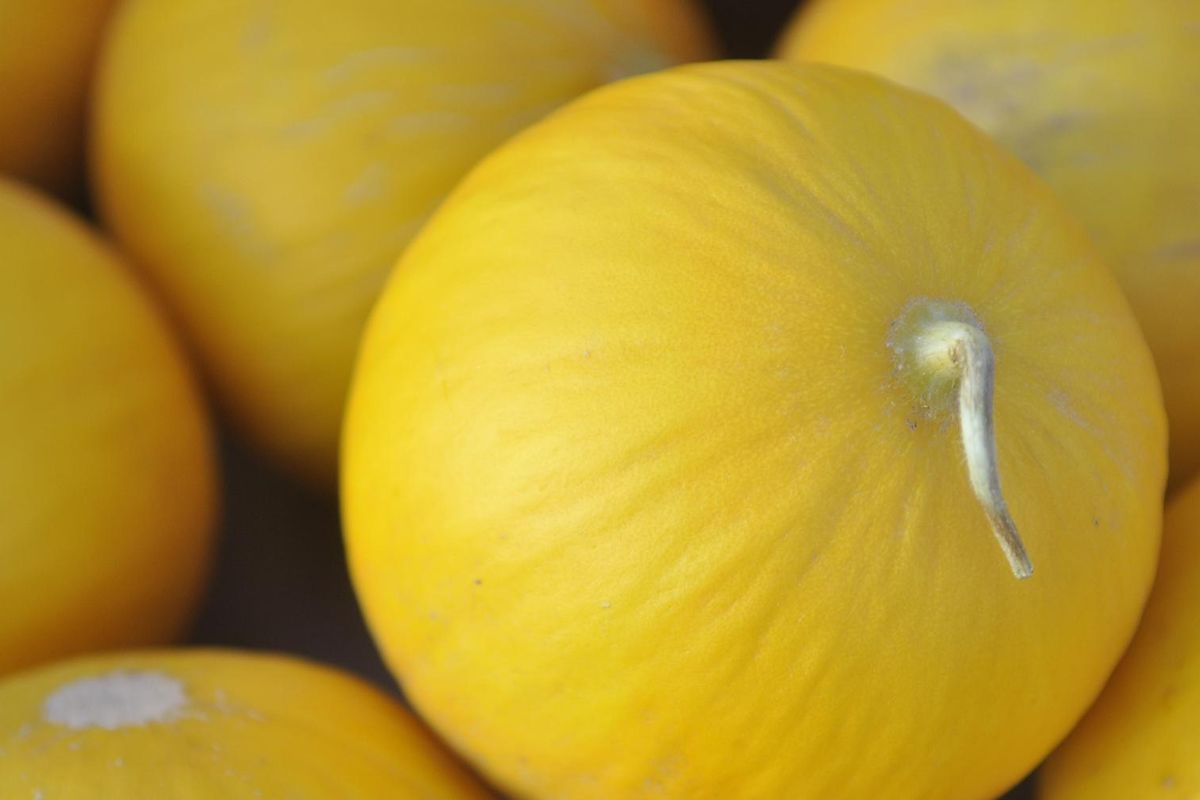 Canary melon from Elithorp Farm in Deer Park was for sale at a recent Night Market in Kendall Yards. ADRIANA JANOVICH adrianaj@spokesman.com (Adriana Janovich / The Spokesman-Review)