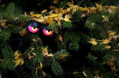 
Eerie, glowing eyes watch trick-or-treaters at the Gerding home on the South Hill.
 (The Spokesman-Review)