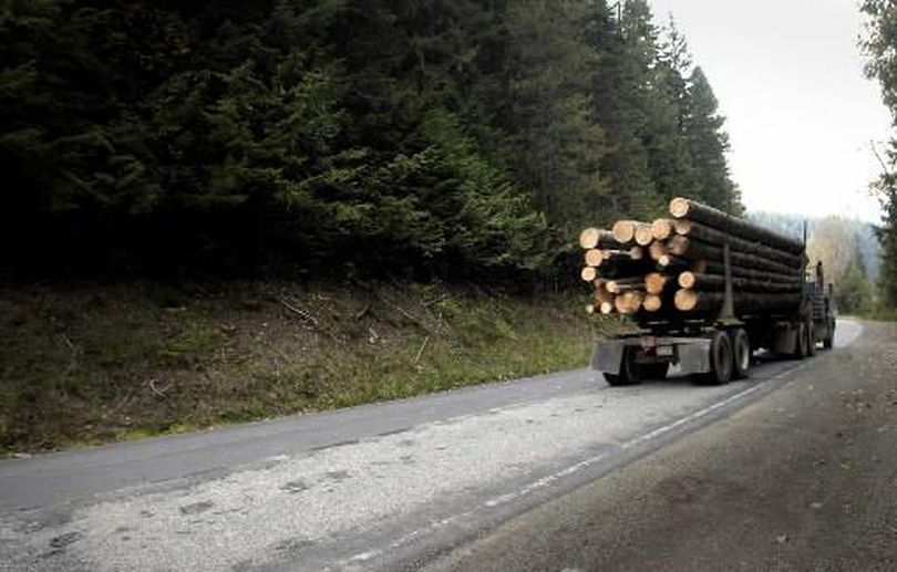 A logging truck hauls logs down the Coeur d’Alene River Road and out of the Coeur d’Alene National Forest in this file photo from Oct. 15, 2004. Trucks and how they’re taxed were the topic of months of hearings by an Idaho legislative interim committee, but the panel decided Thursday not to recommend any changes. (Jesse Tinsley / The Spokesman-Review)