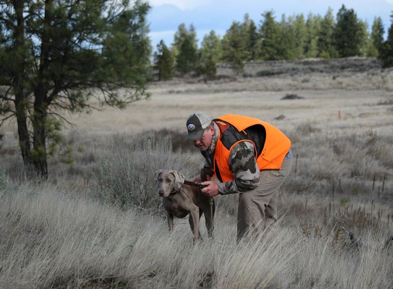 Bird dog club holds training day; nonmembers invited The Spokesman