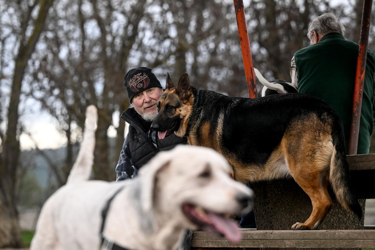 “We come here a few times a week,” says dog owner Derek Rehberger as he sits next to his dog Rain at the Patricia Simonet Laughing Dog Park on Thursday in Liberty Lake. (Kathy Plonka/The Spokesman-Review)