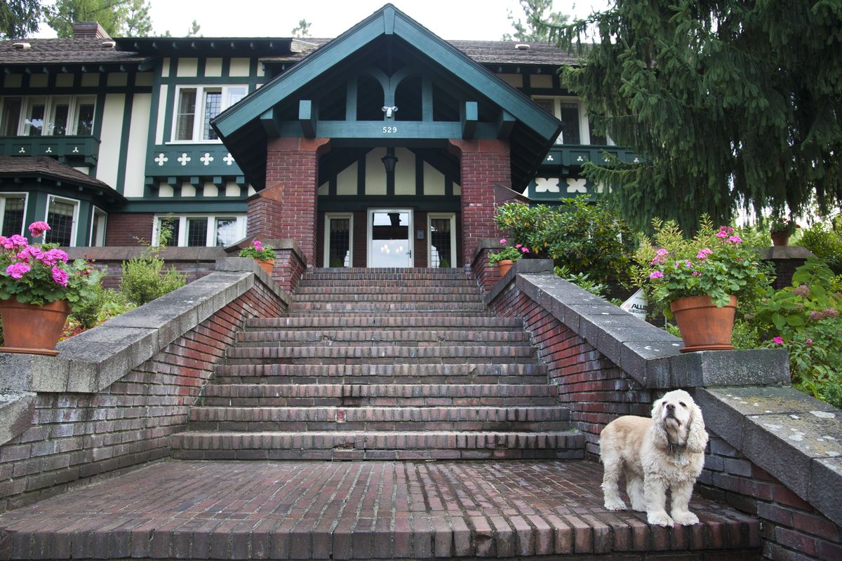 Daisy gets a view of the street from the steps of the historic Tull House, owned by Jerry Blinn and Gil Chais, at the corner of 22nd Avenue and Howard Street in Spokane. The home is part of the 2014 Autumn Historic Homes Tour. (Dan Pelle)