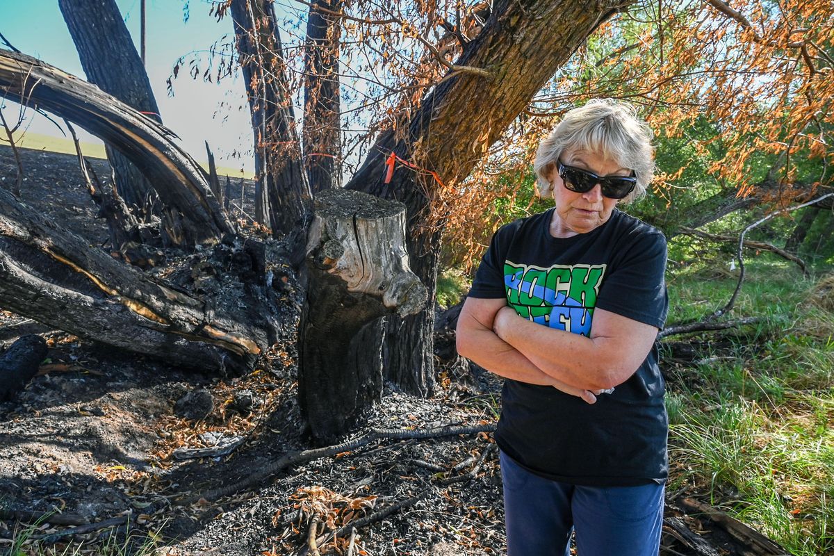 Chris Mewhinney visits a Tesla crash site at Truax Road and Old Truax Road, Friday, Aug 11, 2023, southeast of Fairfield, Wa. The crash on June 26 engulfed the vehicle on flames after being lodged into the willow trees at left. Fire crews fought the fire a little bit but ultimately let it burn. The run off from that brief attempt at fighting the fire led to ecology concerns for a nearby farmer. The Department of Ecology is still taking soil samples and part of his pasture is blocked off. Mewhinney was working in her garden nearby and went to the scene. “It was an inferno,” she said.  (DAN PELLE/THE SPOKESMAN-REVIEW)