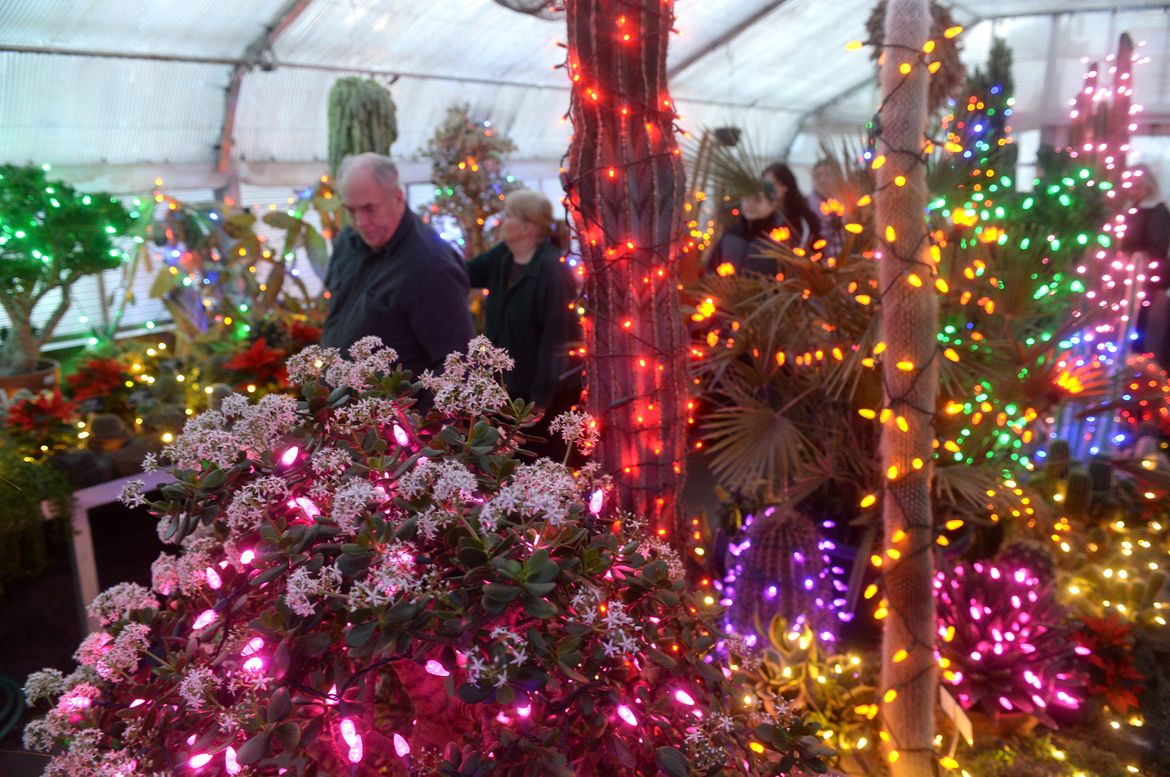 Holiday Lights at Gaiser Conservatory A picture story at The