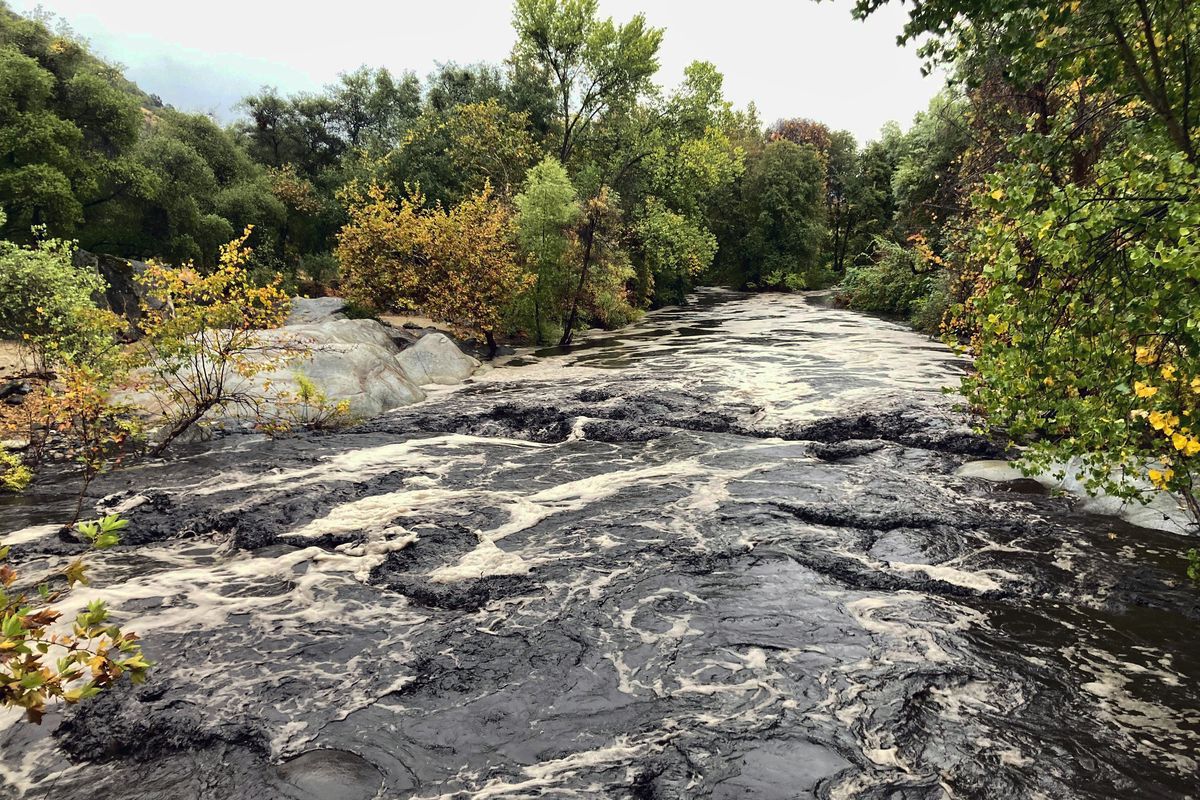 The North Fork of the Kaweah River, which flows from Sequoia National Park, is seen swollen with frothy, black water, Monday, Oct. 25, 2021, in Three Rivers, Calif.  (Brian Melley)