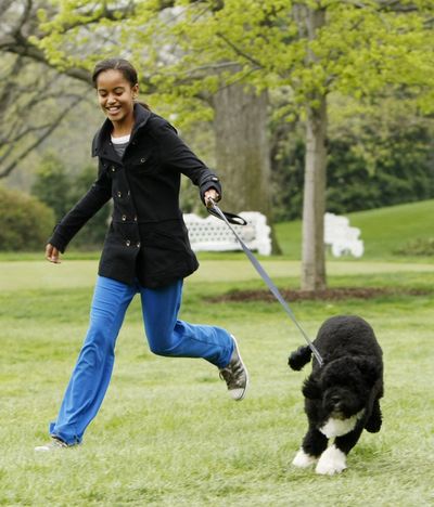 Malia Obama runs with the new family dog, Bo, introduced on the South Lawn of the White House in Washington on Tuesday. (Associated Press / The Spokesman-Review)