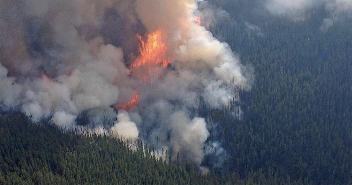 Weathercatch: Washington state’s biggest wildfire: Human caused ...