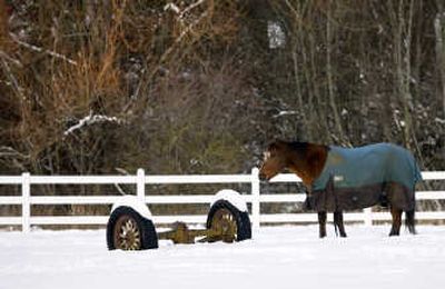 

 (tom Davenport / The Spokesman-Review)