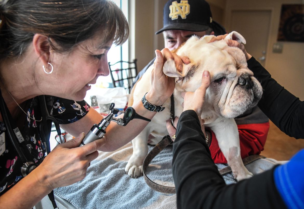 ‘They saved my best friend’ Clinic offers veterinary care for low