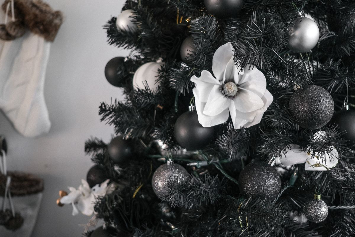Black Christmas trees: A symbol of 2020 angst or a reﬁned choice ...